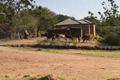 DSC_2709 (Large).JPG